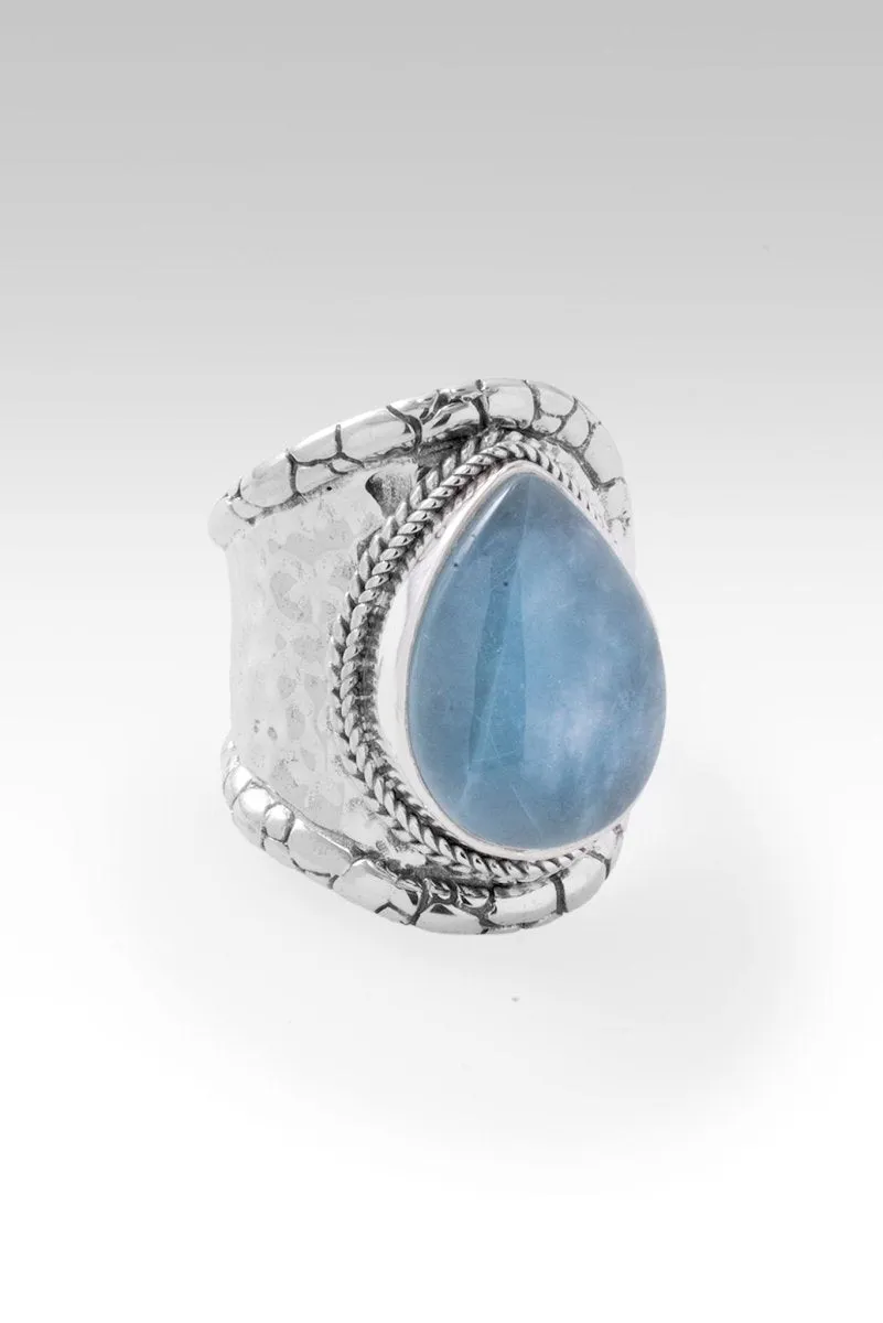 Blessed with Abundance Ring™ in Aquamarine
