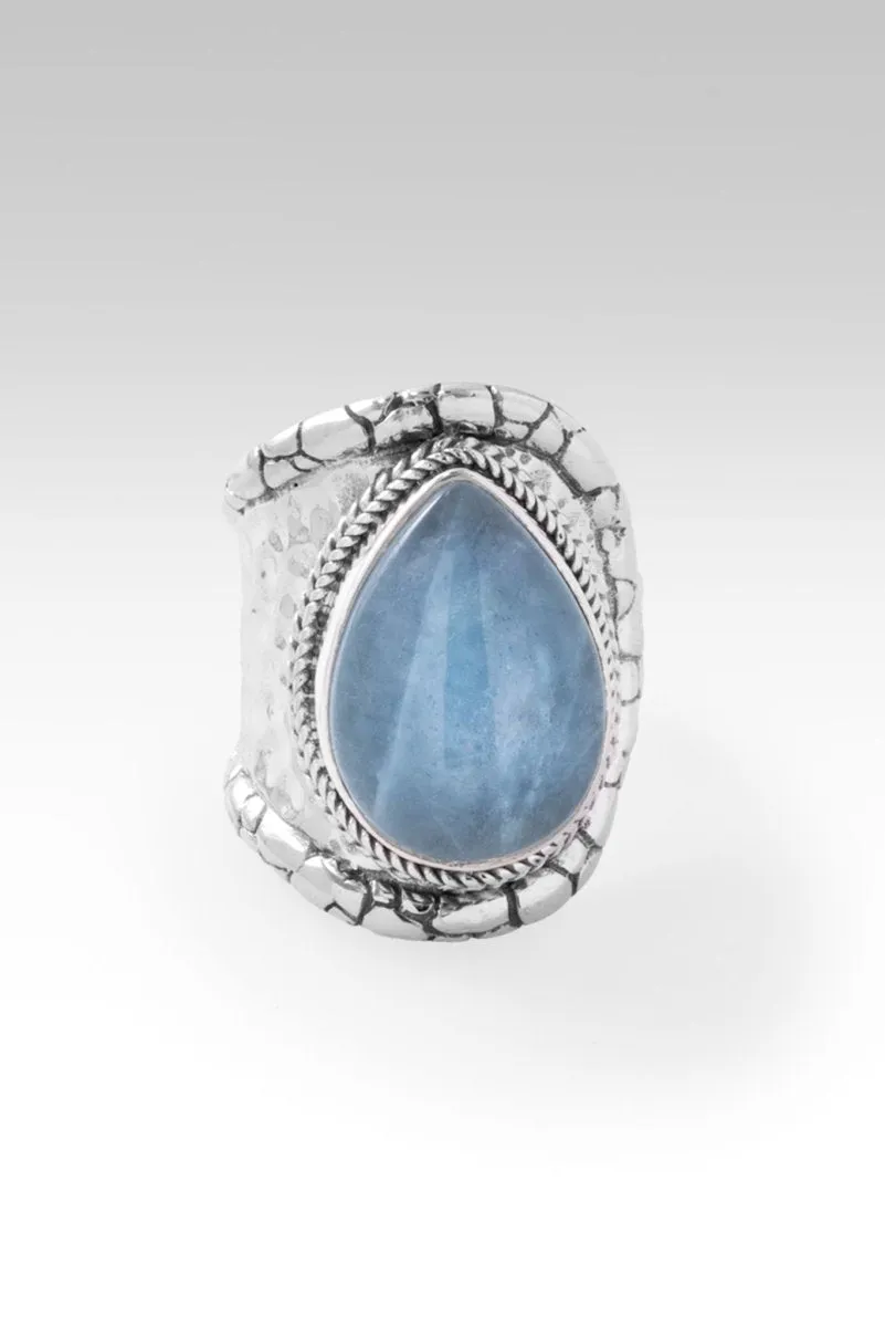 Blessed with Abundance Ring™ in Aquamarine