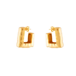 Dim Earrings