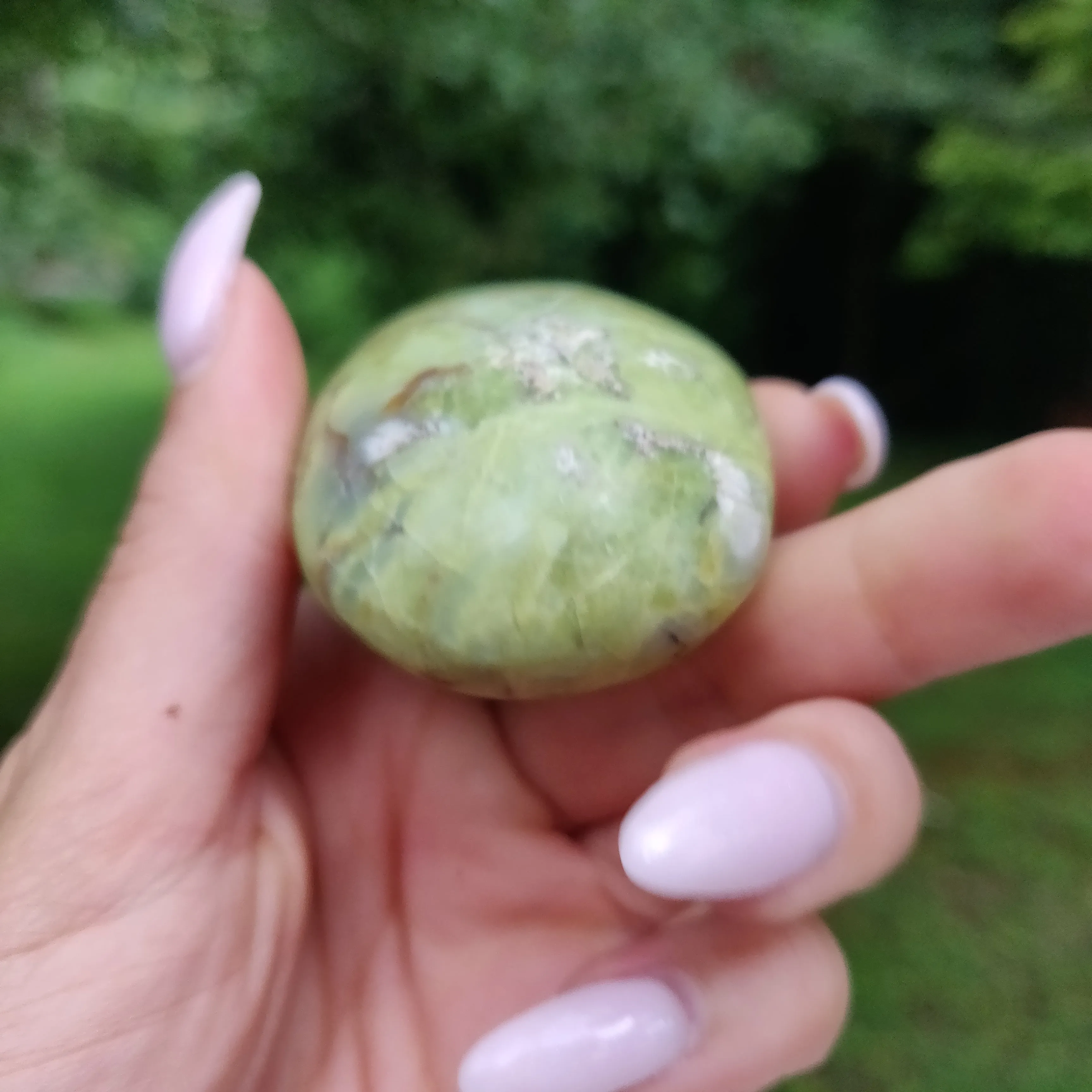 Green Opal Palm Stone (#1)