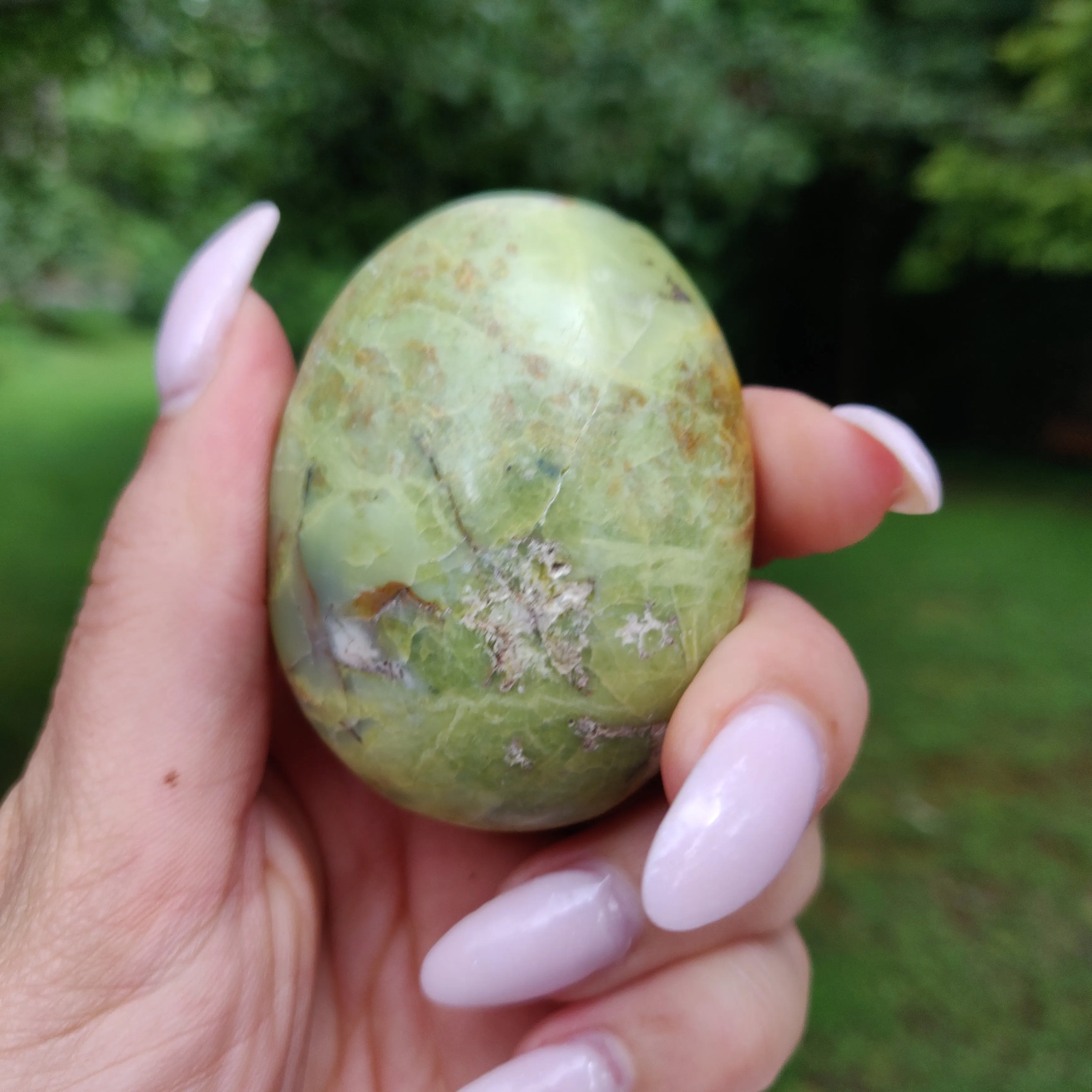 Green Opal Palm Stone (#1)