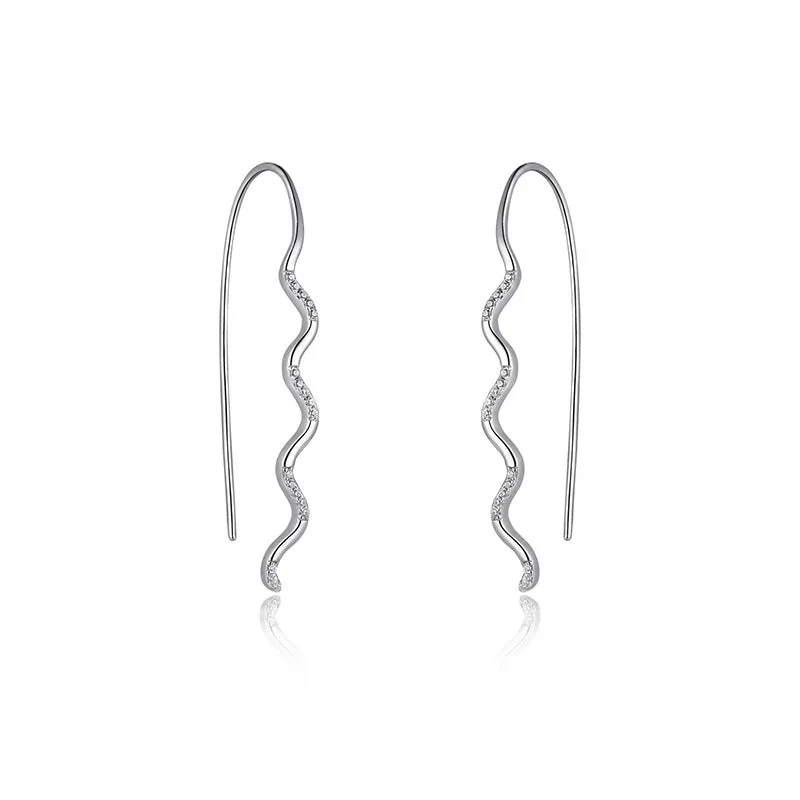 Zircon Wave Silver Hook Earrings for Women