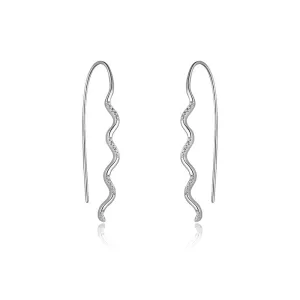 Zircon Wave Silver Hook Earrings for Women